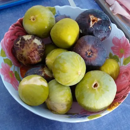 Zi Micheli Salento * Кастриньяно-дель-Капо